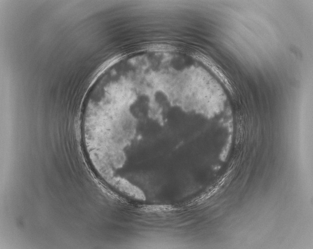 X0000115340853200912141238