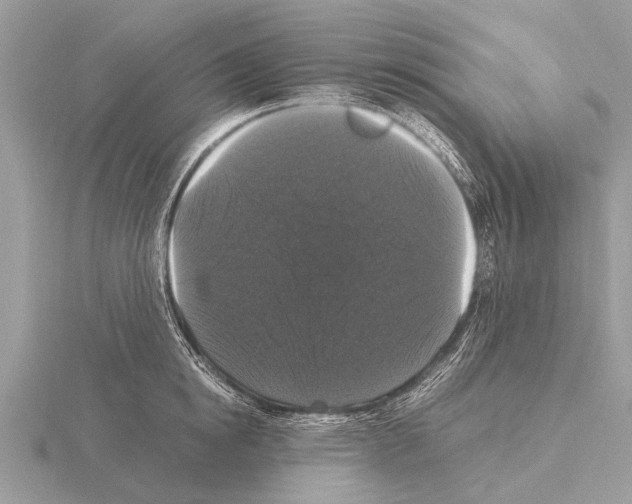 X0000115340854200912141238