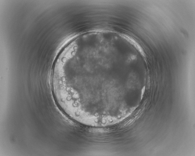 X0000115340855200912141238