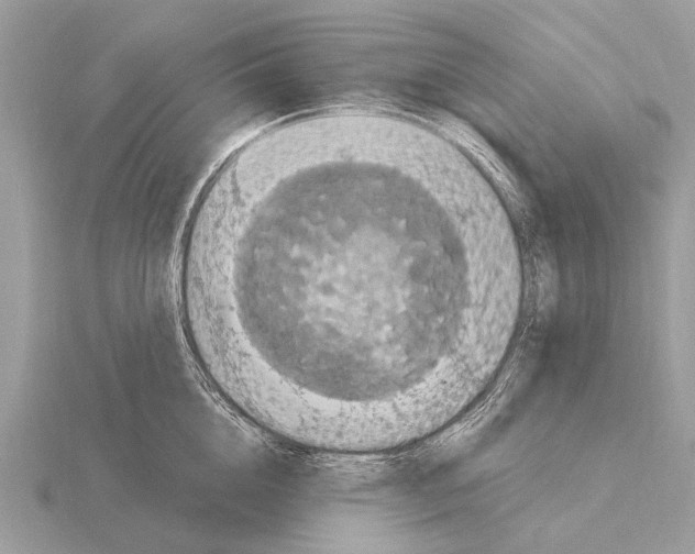 X0000115340856200912141238