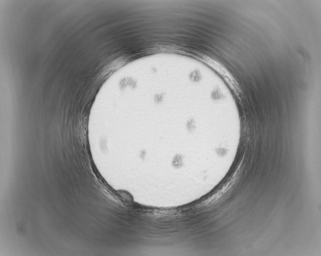 X0000115340857200912141238