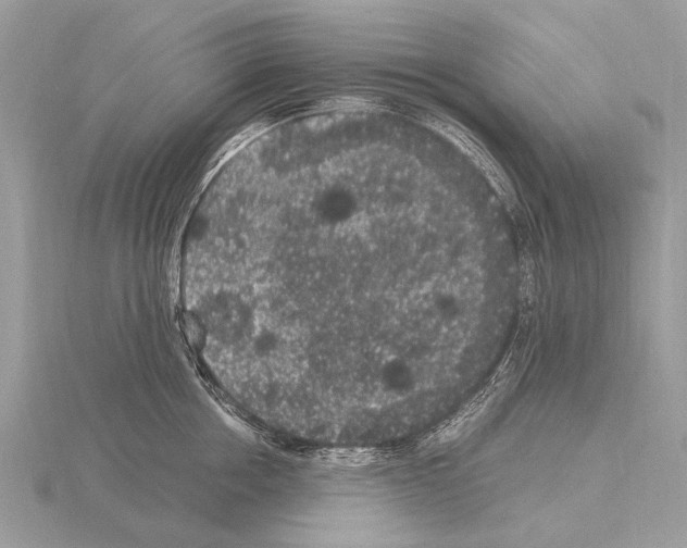 X0000115340858200912141238