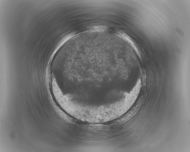 X0000115340859200912141238