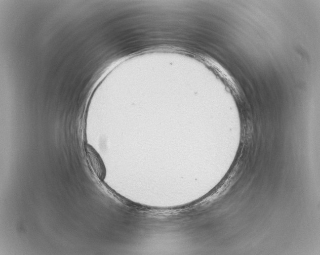 X0000115340860200912141238