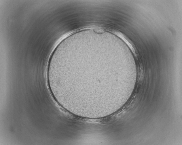 X0000115340861200912141238