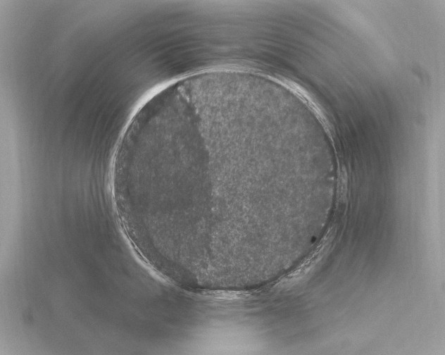 X0000115340862200912141238