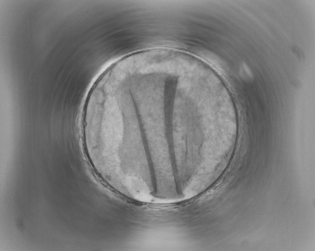 X0000115340864200912141238