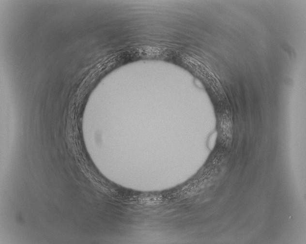 X0000115340865200912141237