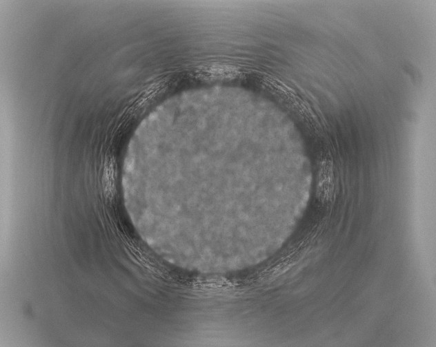 X0000115340866200912141237