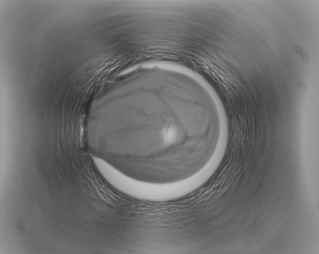 X0000115340868200912141237