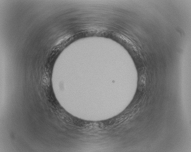 X0000115340869200912141237