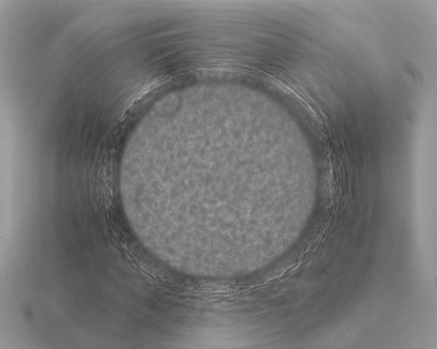 X0000115340870200912141237