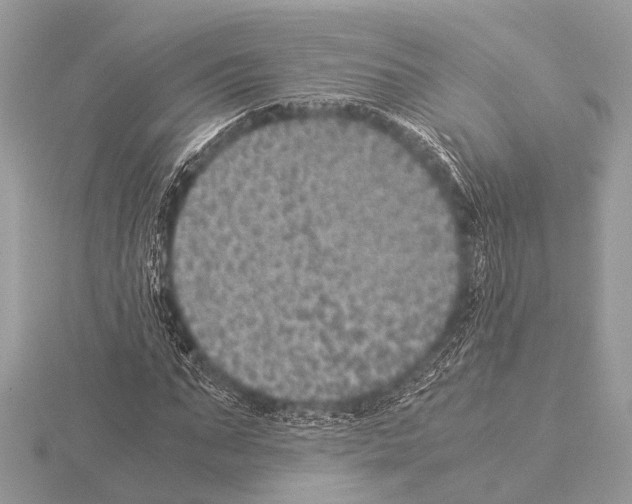 X0000115340871200912141237