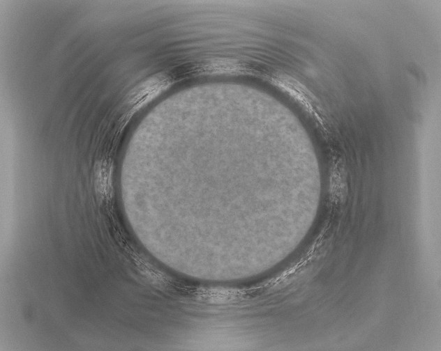 X0000115340873200912141237