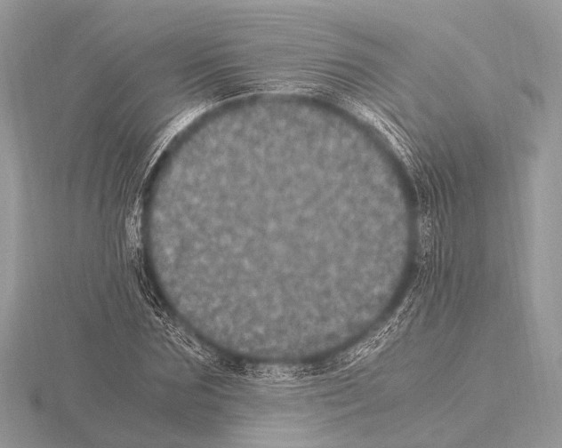 X0000115340875200912141237