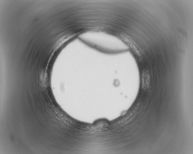 X0000115340876200912141237