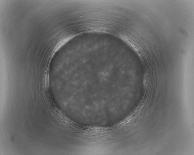 X0000115340877200912141237