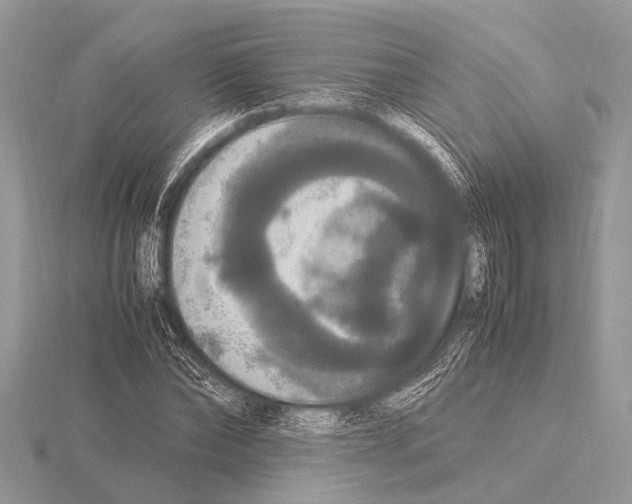 X0000115340878200912141237