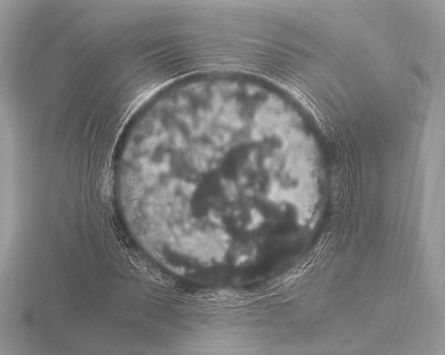 X0000115340879200912141237