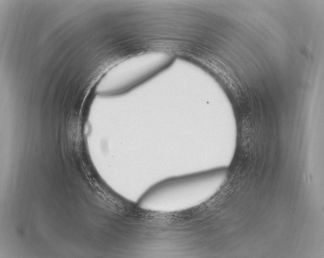 X0000115340880200912141237