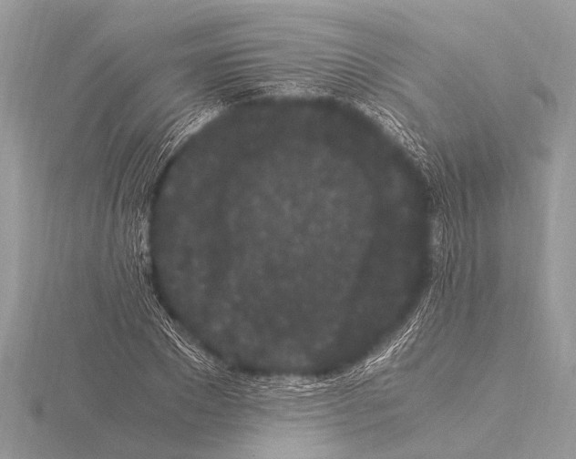 X0000115340881200912141237