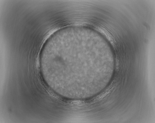 X0000115340883200912141237