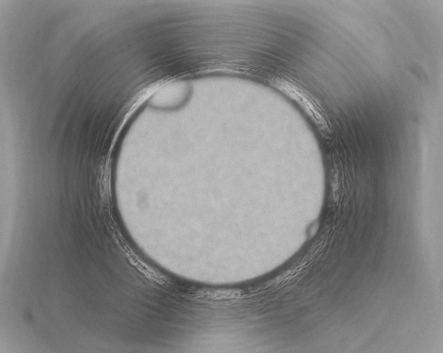 X0000115340884200912141237