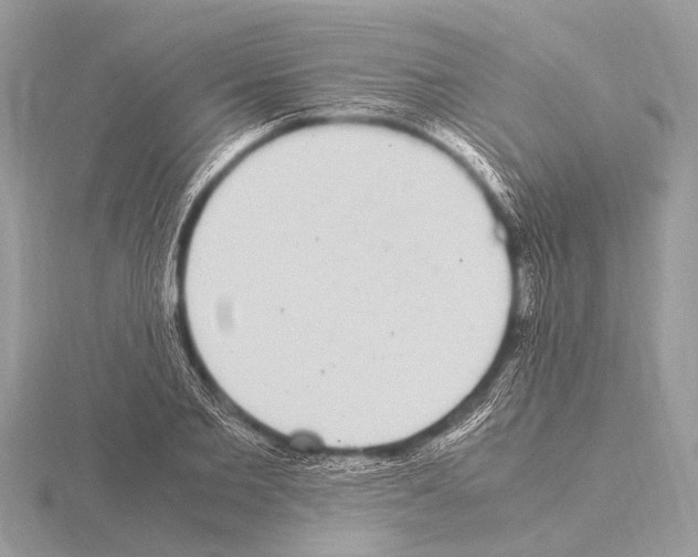 X0000115340885200912141237