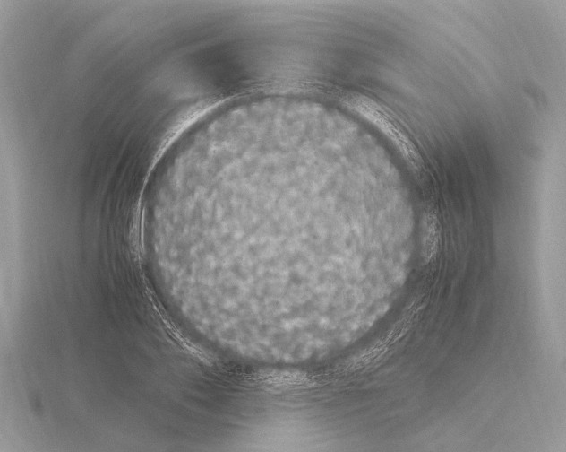 X0000115340886200912141237