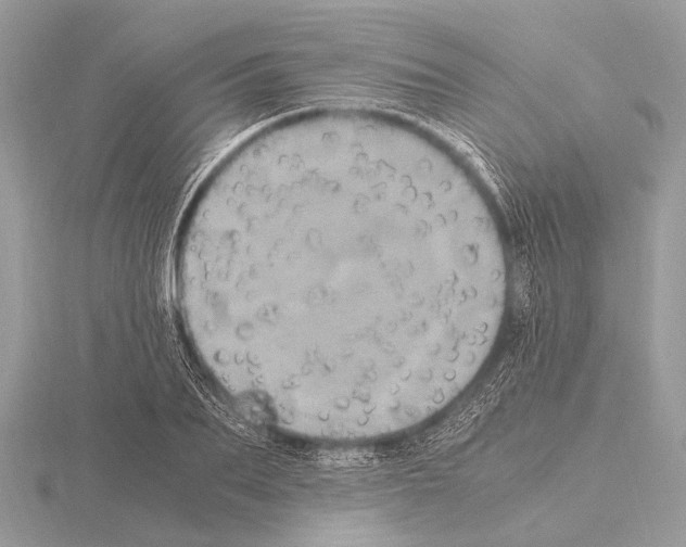 X0000115340887200912141237