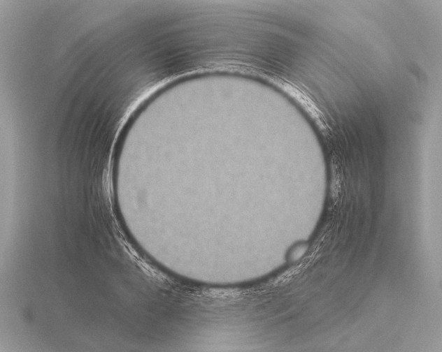 X0000115340888200912141237