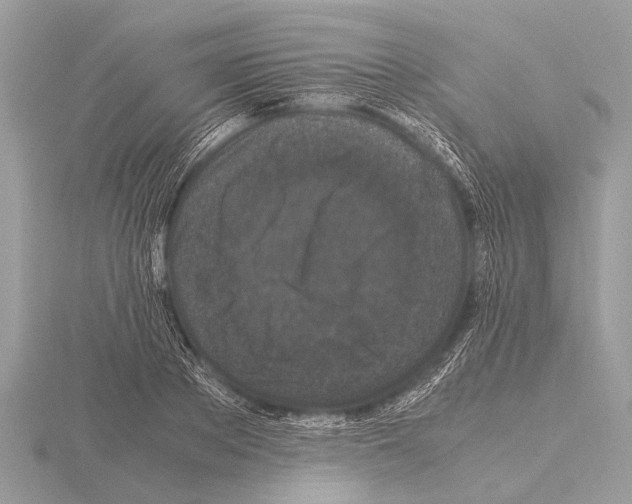 X0000115340889200912141237