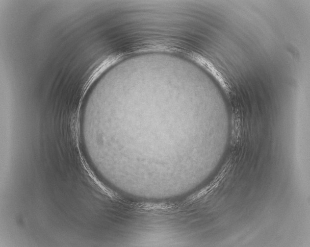 X0000115340890200912141237