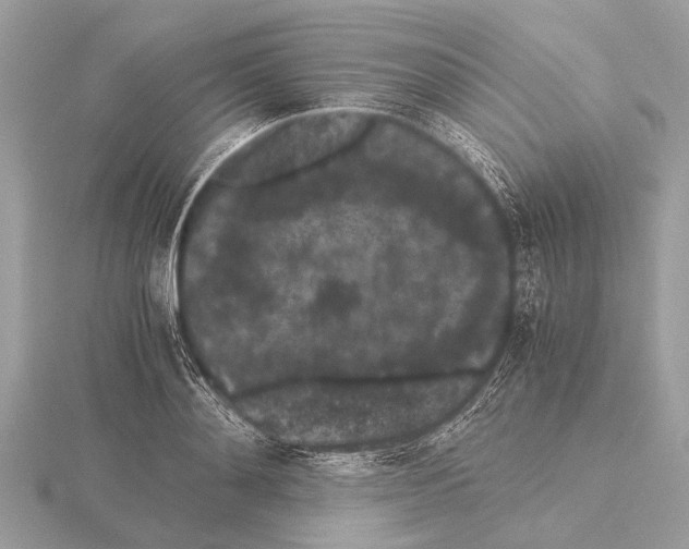 X0000115340892200912141237