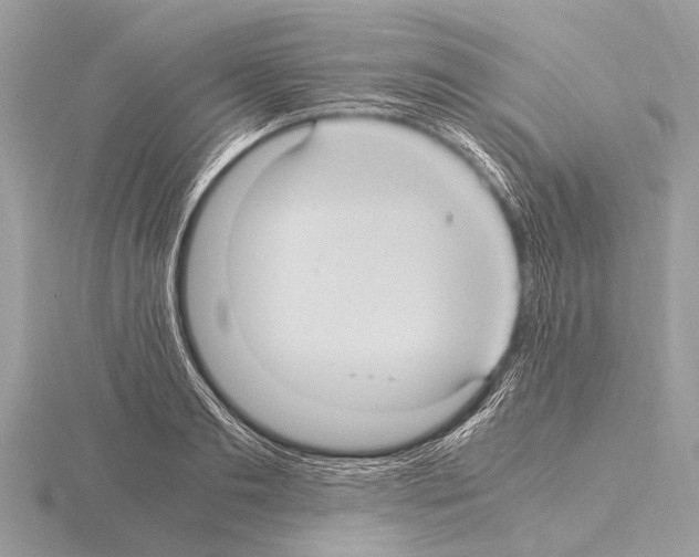 X0000115340893200912141237