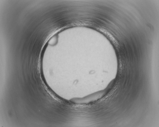 X0000115340894200912141237