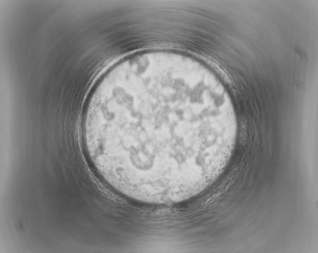 X0000115340895200912141237