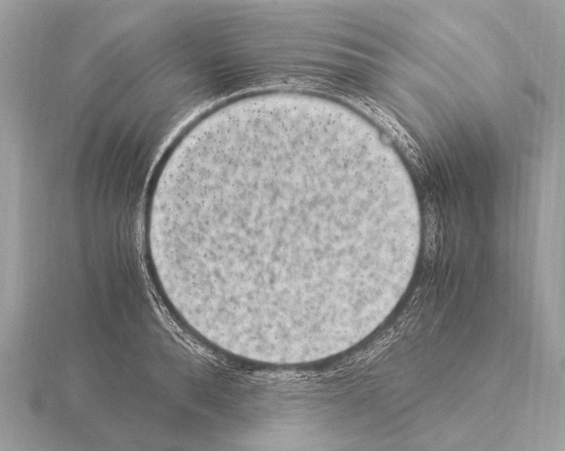 X0000115340896200912141237