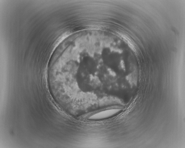 X0000115340899200912141237