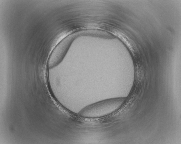 X0000115340901200912141237