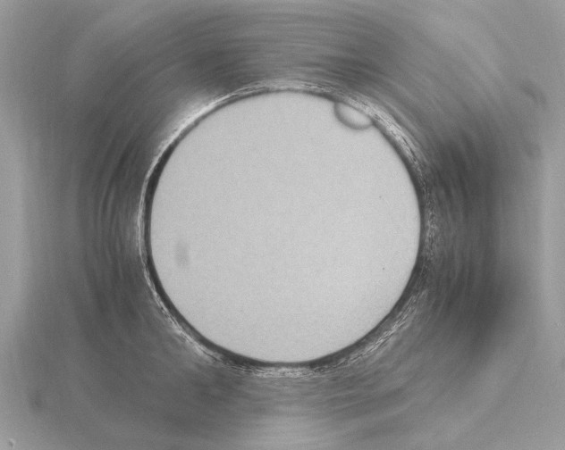 X0000115340902200912141237