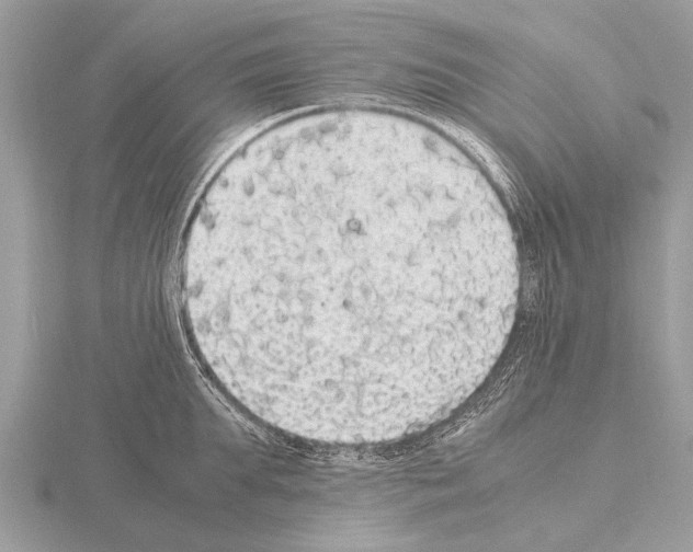 X0000115340903200912141237