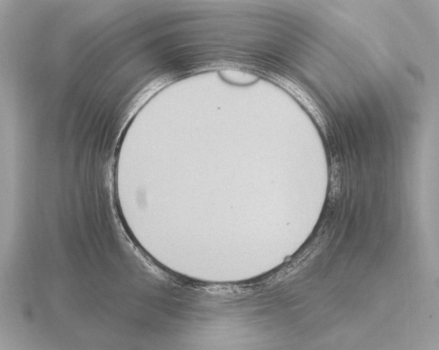 X0000115340906200912141237