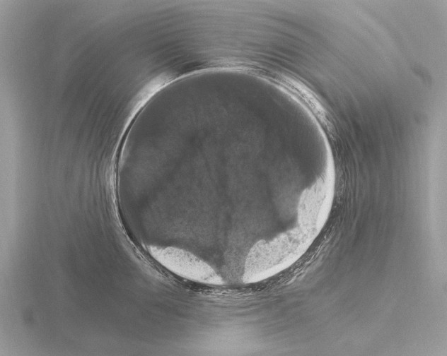 X0000115340907200912141237