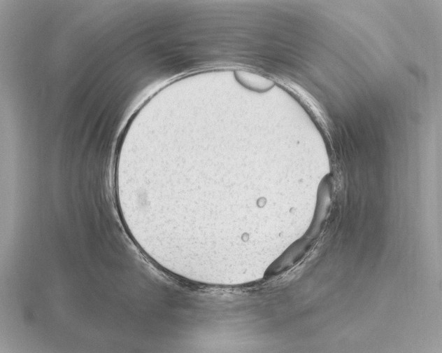 X0000115340910200912141237