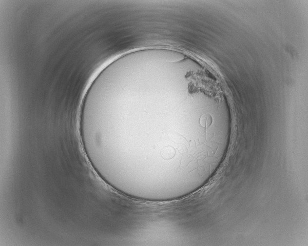 X0000115340912200912141237