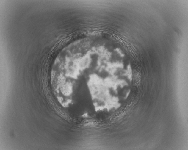 X0000115340913200912141236