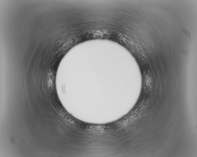 X0000115340914200912141236