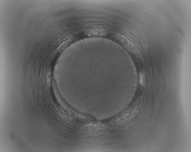 X0000115340915200912141236