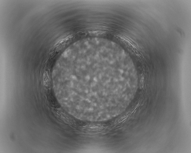 X0000115340917200912141236